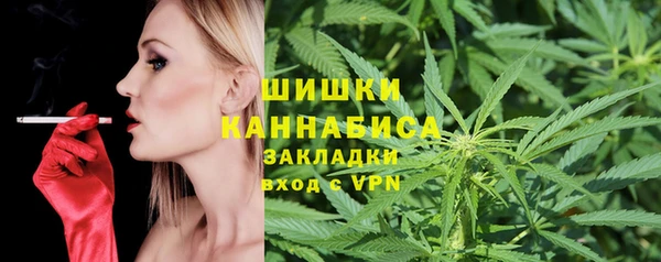 индика Приозерск