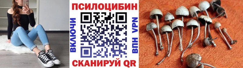 сколько стоит ссылка на мегу tor Псилоцибиновые грибы Psilocybe Сургут